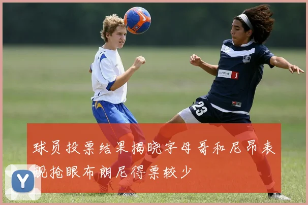 球员投票结果揭晓字母哥和尼昂表现抢眼布朗尼得票较少